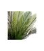 Plante Artificielle Palmier Cuba 55cm Vert-3