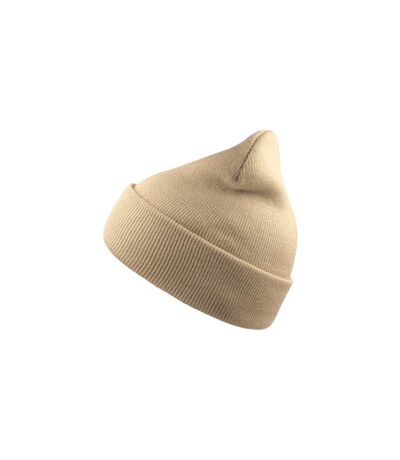 Atlantis Wind Double Skin Beanie With Turn Up (Beige) - UTAB228