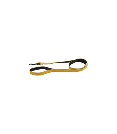 Laisse pour Chien Cosy Golden 120cm Jaune