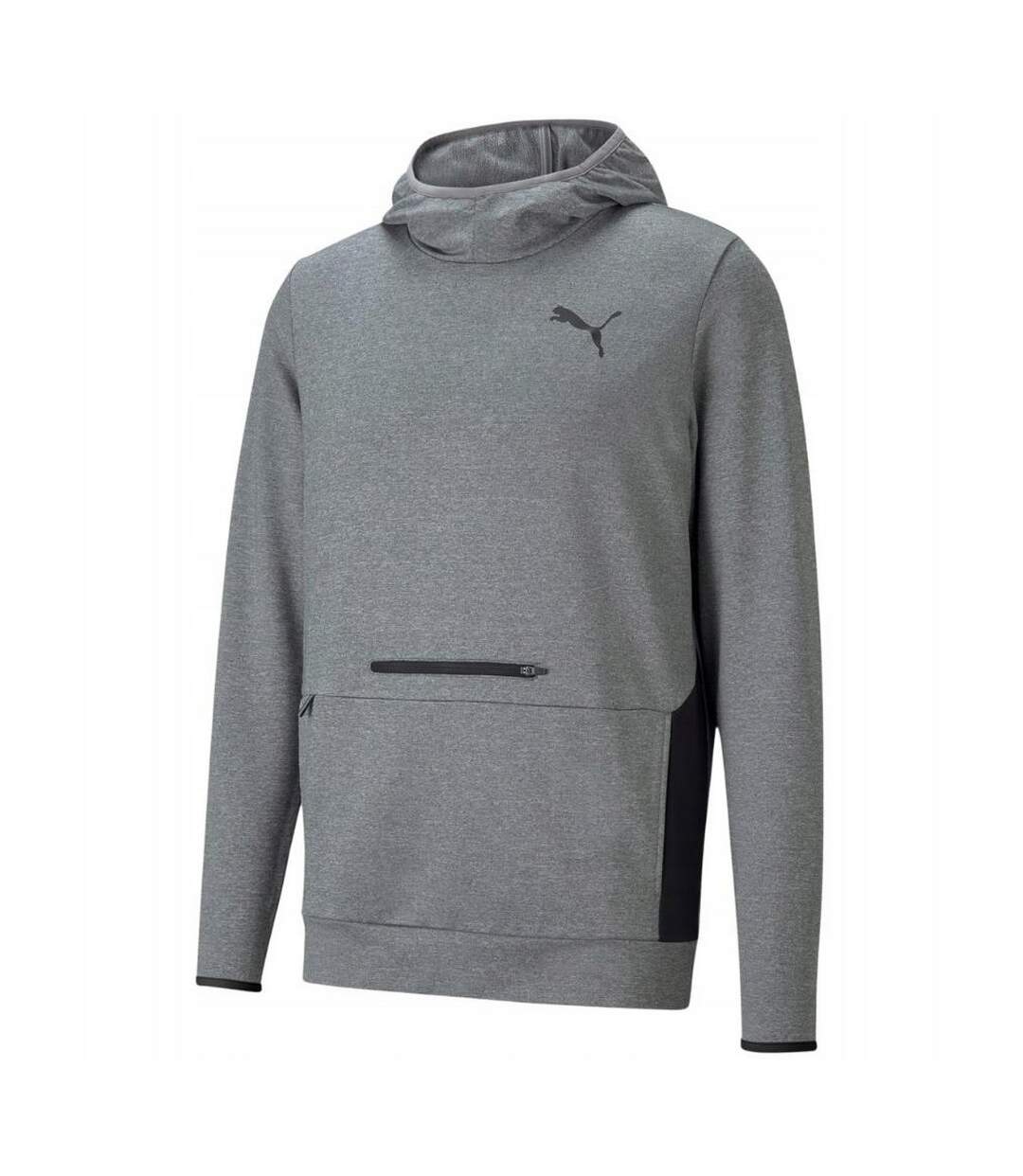 Sweat À Capuche Rtg Homme Gris Puma-1