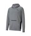 Sweat À Capuche Rtg Homme Gris Puma-1