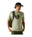 T-shirt Motif/style Coucher De Soleil Fingal Homme Vert Pâle Regatta-1