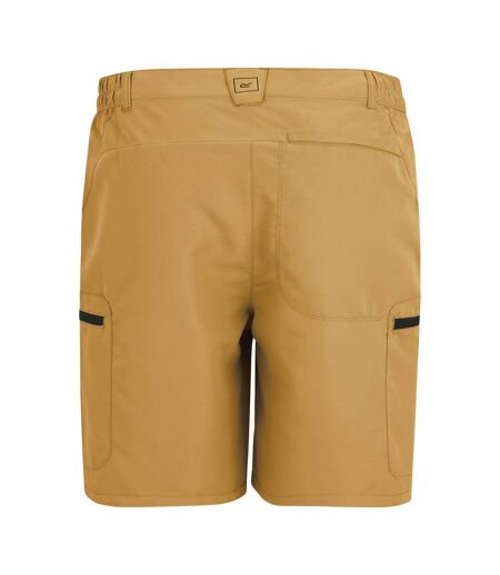 Short Leesville Homme Marron Bois Regatta
