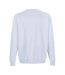 Unisex Adult Columbia Crew Neck Sweatshirt Creamy Blue SOLS-2