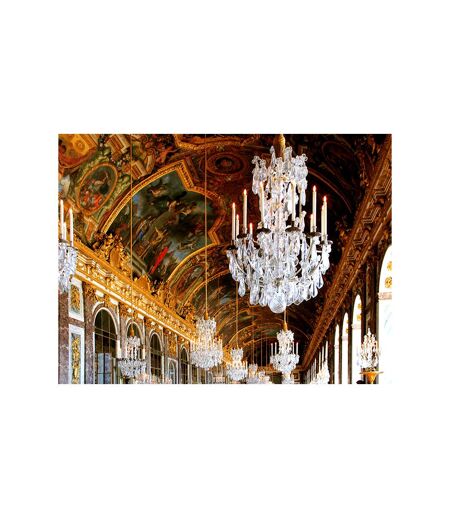 Versailles en famille : visite guidée du château et des jardins - SMARTBOX - Coffret Cadeau Sport & Aventure