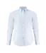 Chemisier Acton Femme Bleu Clair James Harvest-1