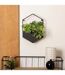 Plante Artificielle à Suspendre Curt 35cm Noir-5