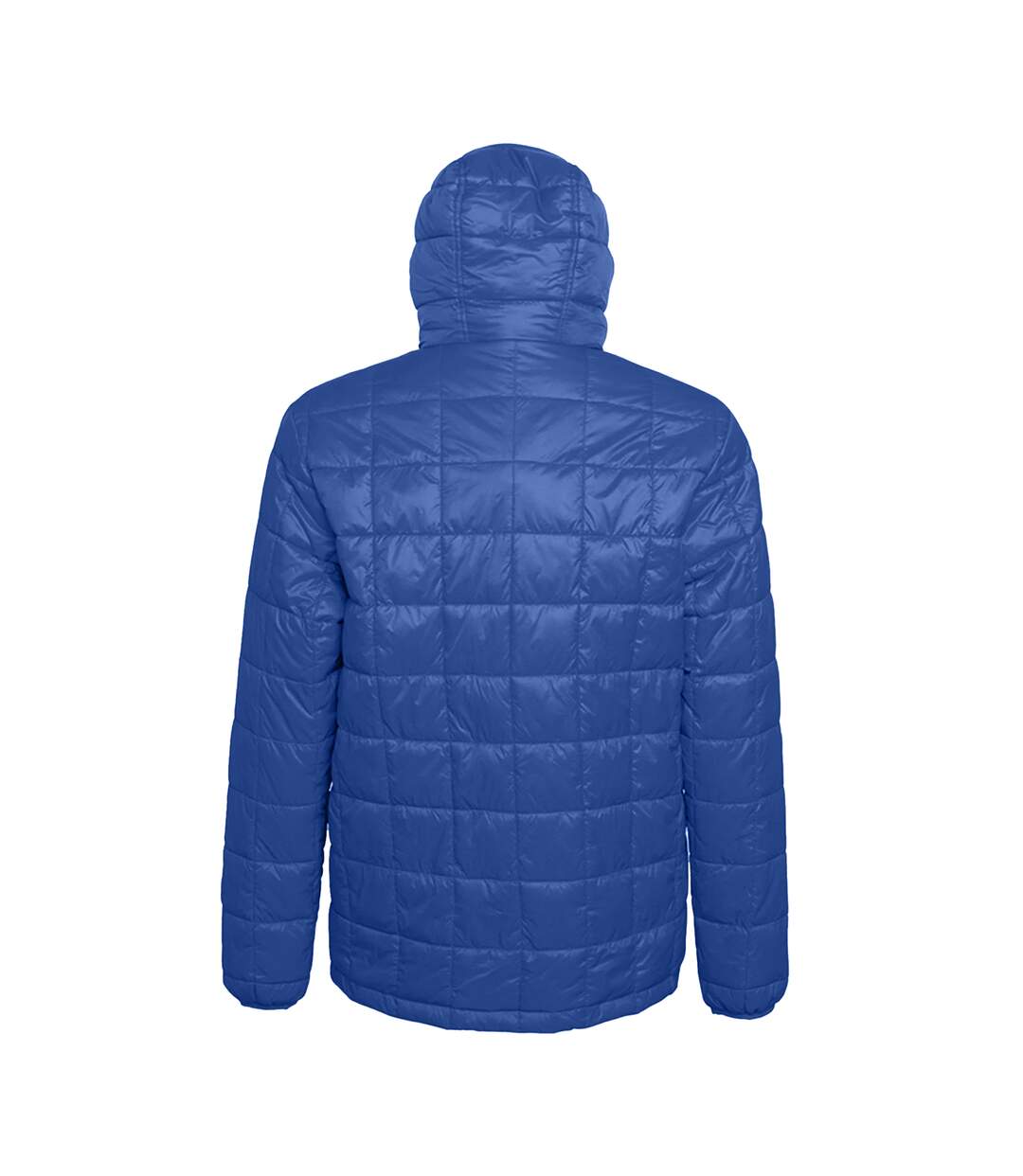 2786 - Veste zippée avec capuche - Homme (Bleu roi) - UTRW5263