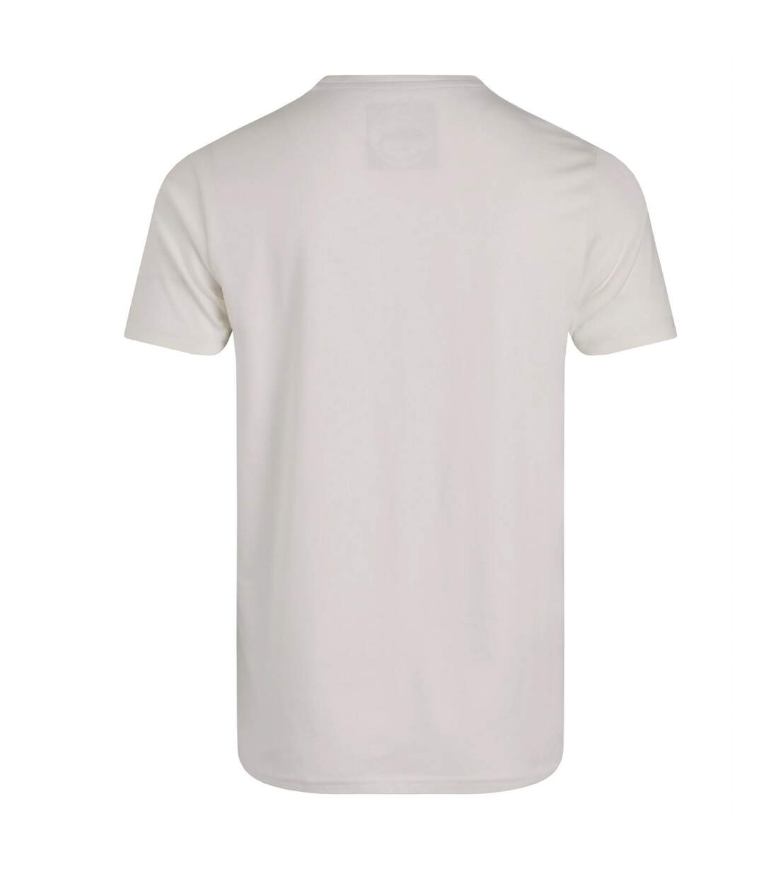 Mens hudson printed branded t-shirt white Weird Fish-2