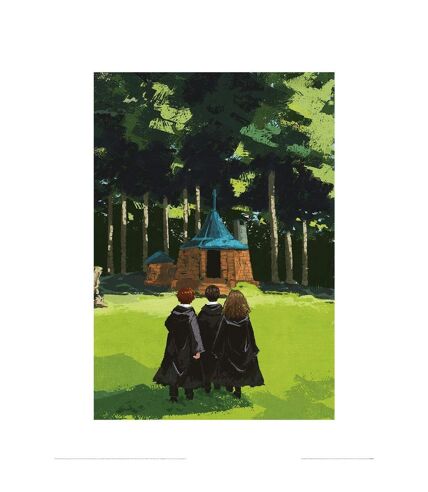 Harry Potter - Imprimé THE LONELY HUT (Vert / Noir) (30 cm x 40 cm) - UTPM6104