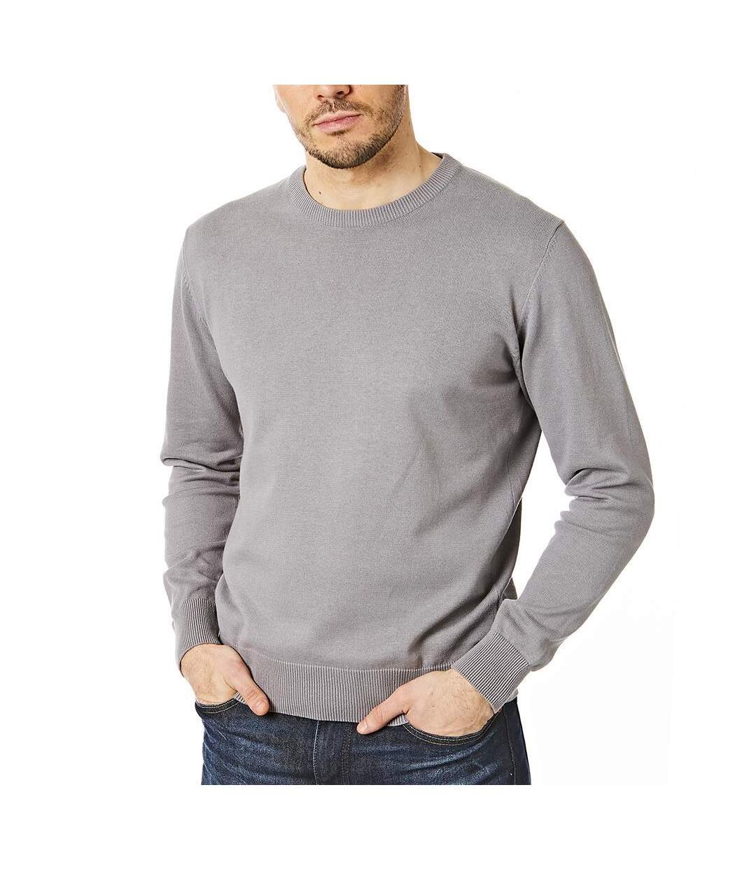 Sweat homme paon CastlePoint