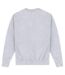 Prince Unisex Adult Moonball Sweatshirt (Heather Grey) - UTPN954