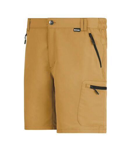 Short Leesville Homme Marron Bois Regatta