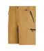 Short Leesville Homme Marron Bois Regatta-4