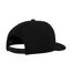 Mens classic snapback cap black/black Flexfit