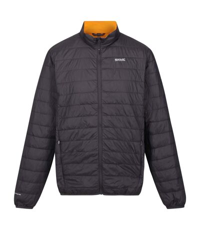 Doudoune Hillpack Homme Cendre Orange Regatta