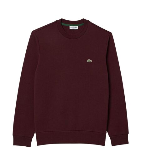 Sweat Homme Rouge Bordeaux Lacoste