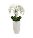 Orchidée Artificielle avec Vase Hotel 115cm Blanc-1
