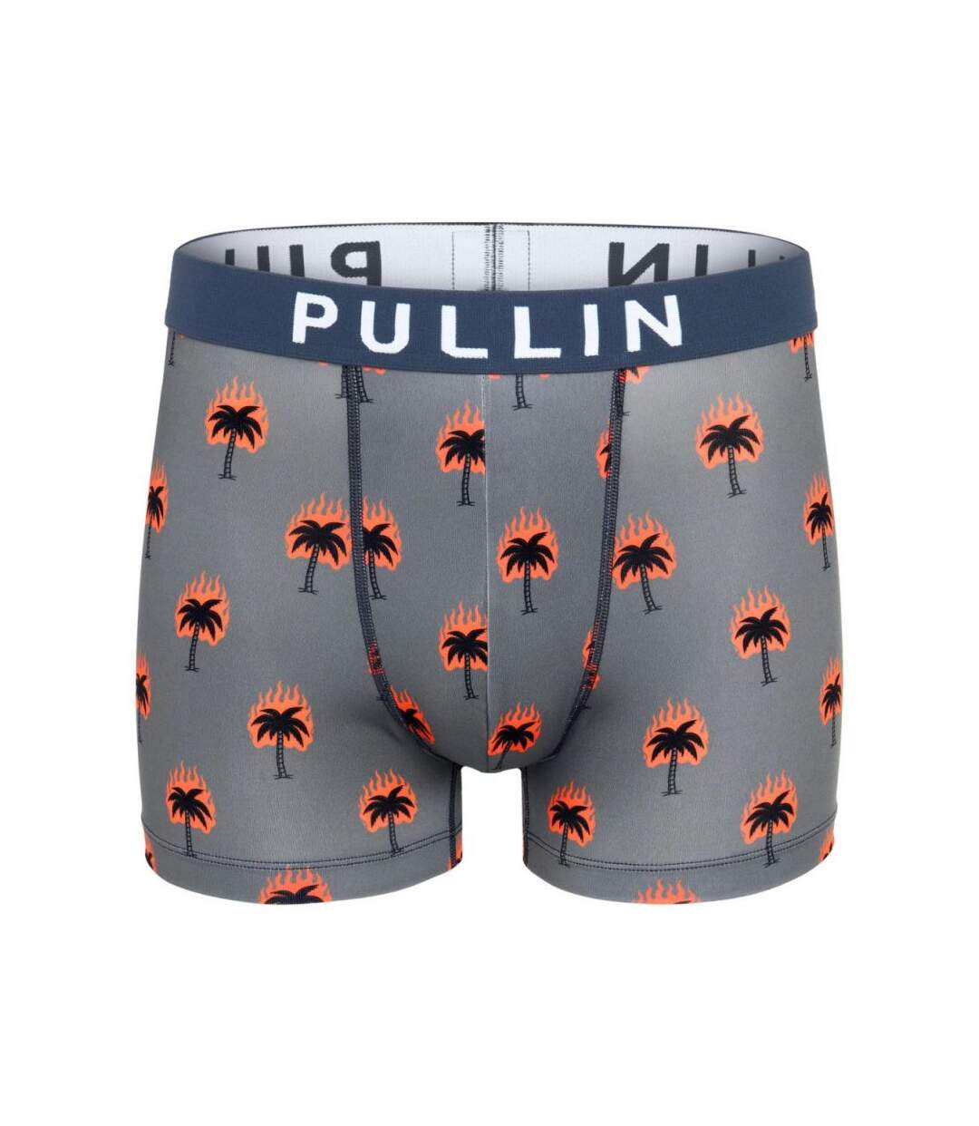 PULL IN Boxer Homme Microfibre BURNING Gris