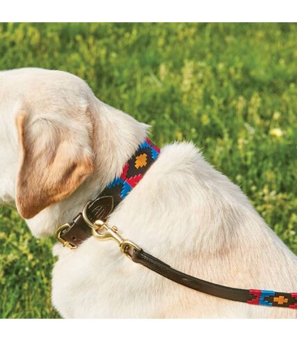 Weatherbeeta Polo Leather Dog Collar (XXL) (Cowdray Brown/Pink/Blue/Yellow) - UTWB1260
