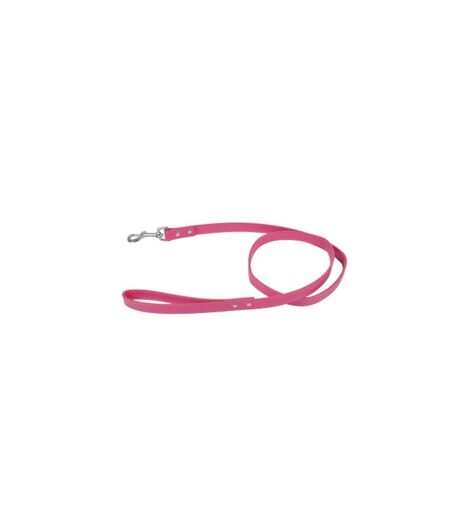 Laisse pour Chien Élégante 120cm Fuchsia