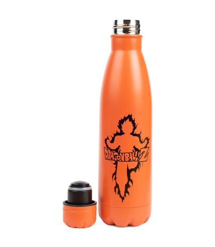 Dragon Ball Z Kanji Goku Metal Water Bottle (Orange) (One Size) - UTPM1249