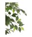 Plante Artificielle en Pot Ficus 180cm Vert-2
