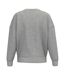 Womens/ladies Crew Neck Sweatshirt Moon Grey Heather Native Spirit-2