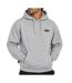 Sweat à capuche gris homme ddp 1dd-1