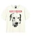 T-shirt what want dalmation adulte vieux blanc Amplified