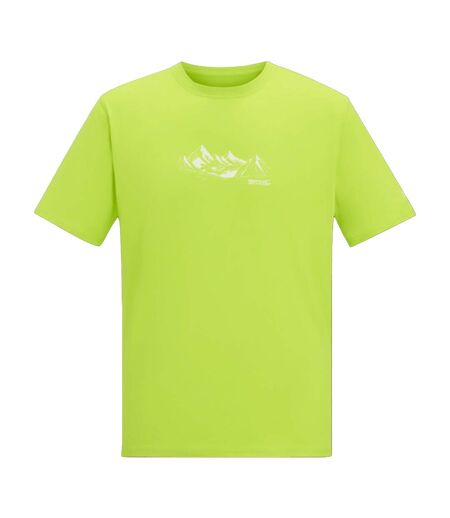 T-shirt Fingal Homme Vert Citron Regatta