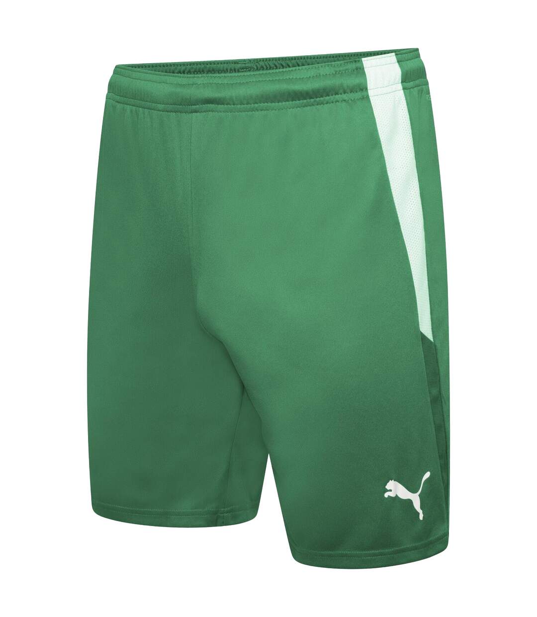 Short Team Liga Homme Vert Puma-1
