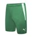 Short Team Liga Homme Vert Puma-1