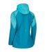 Regatta Womens/Ladies Carletta III Hooded Jacket (Pearl Gentian Blue/Pastel Blue) - UTRG3728
