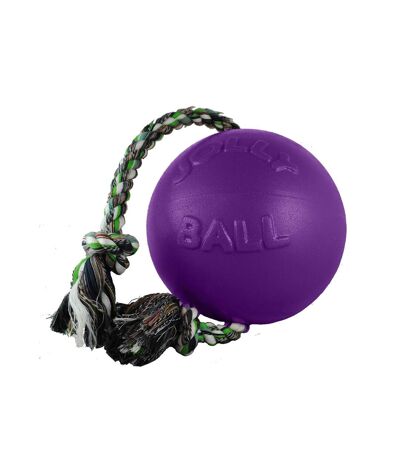 Balle pour chiens romp-n-roll 20,32 cm violet Jolly Pets