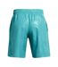 Short Tech Homme Bleu Under Armour-2