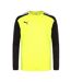 Maillot De Gardien De But Manches Longues Teampacer Homme Noir Jaune Puma-1