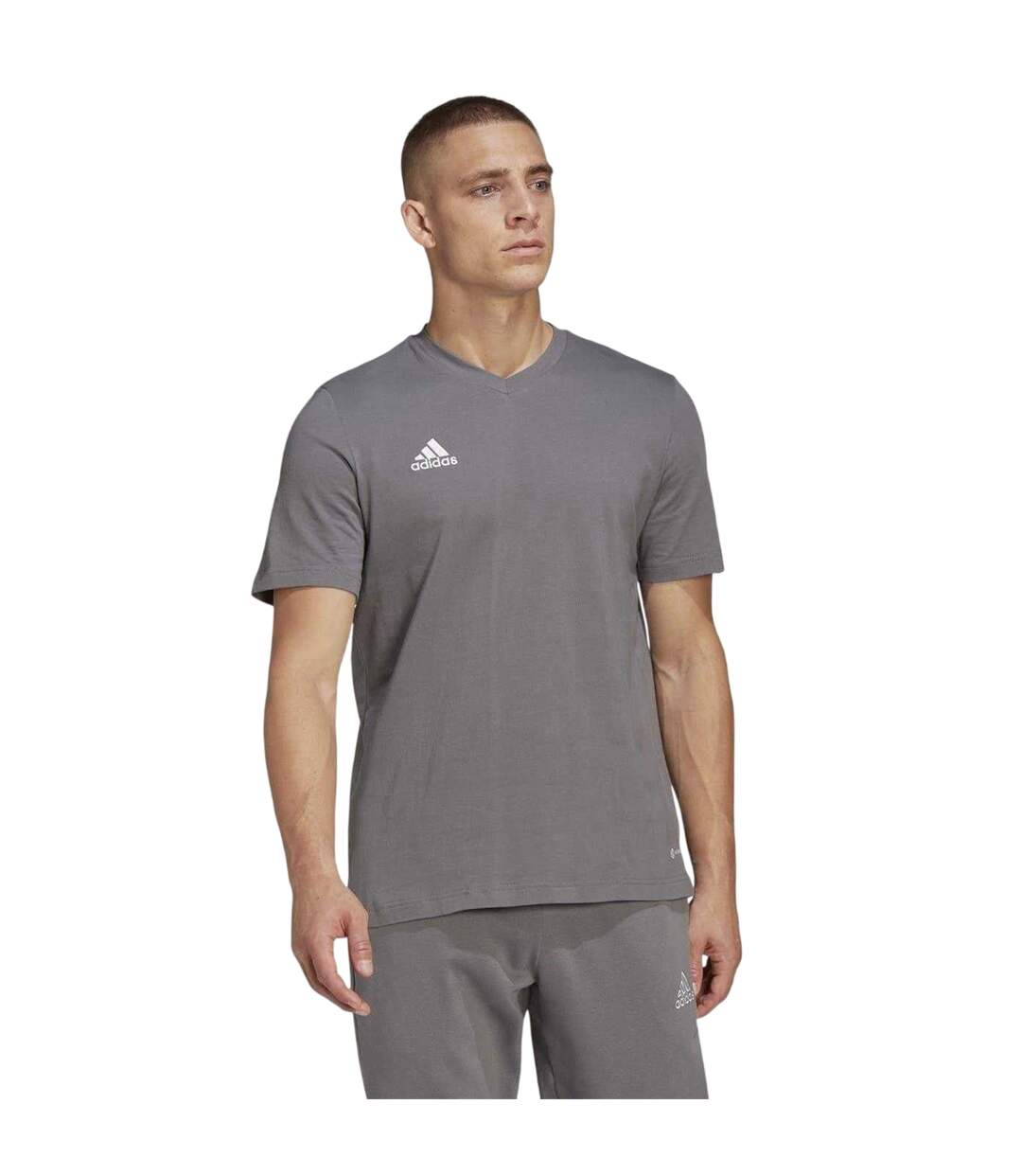 T-shirt Entrada Homme Gris Adidas-1