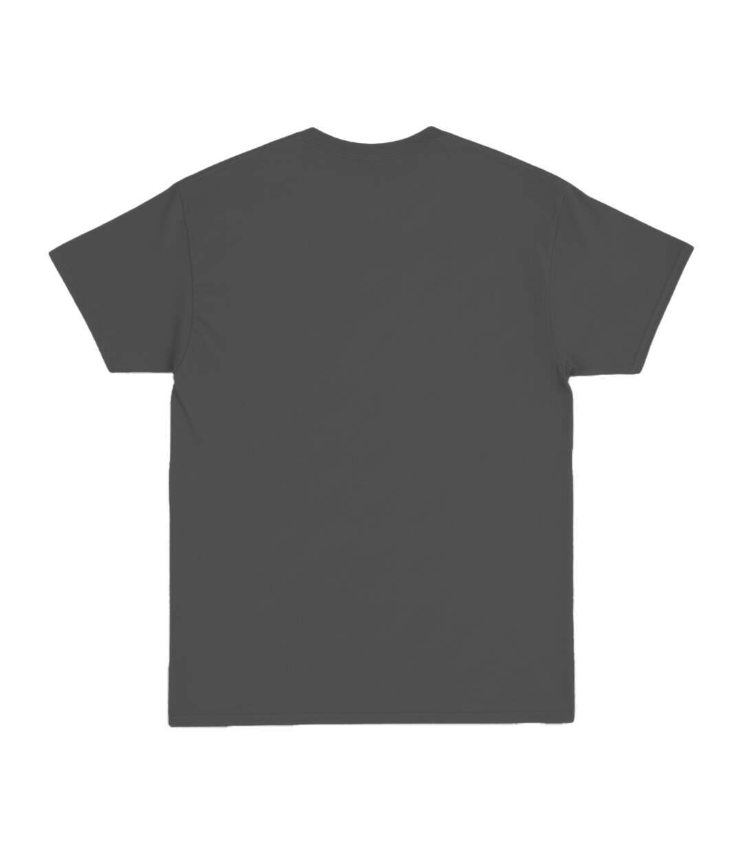 T-shirt Classic Adulte Anthracite Street Fighter 2-2