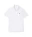 Polo Tennis Novak Djokovic Homme Blanc Lacoste-1