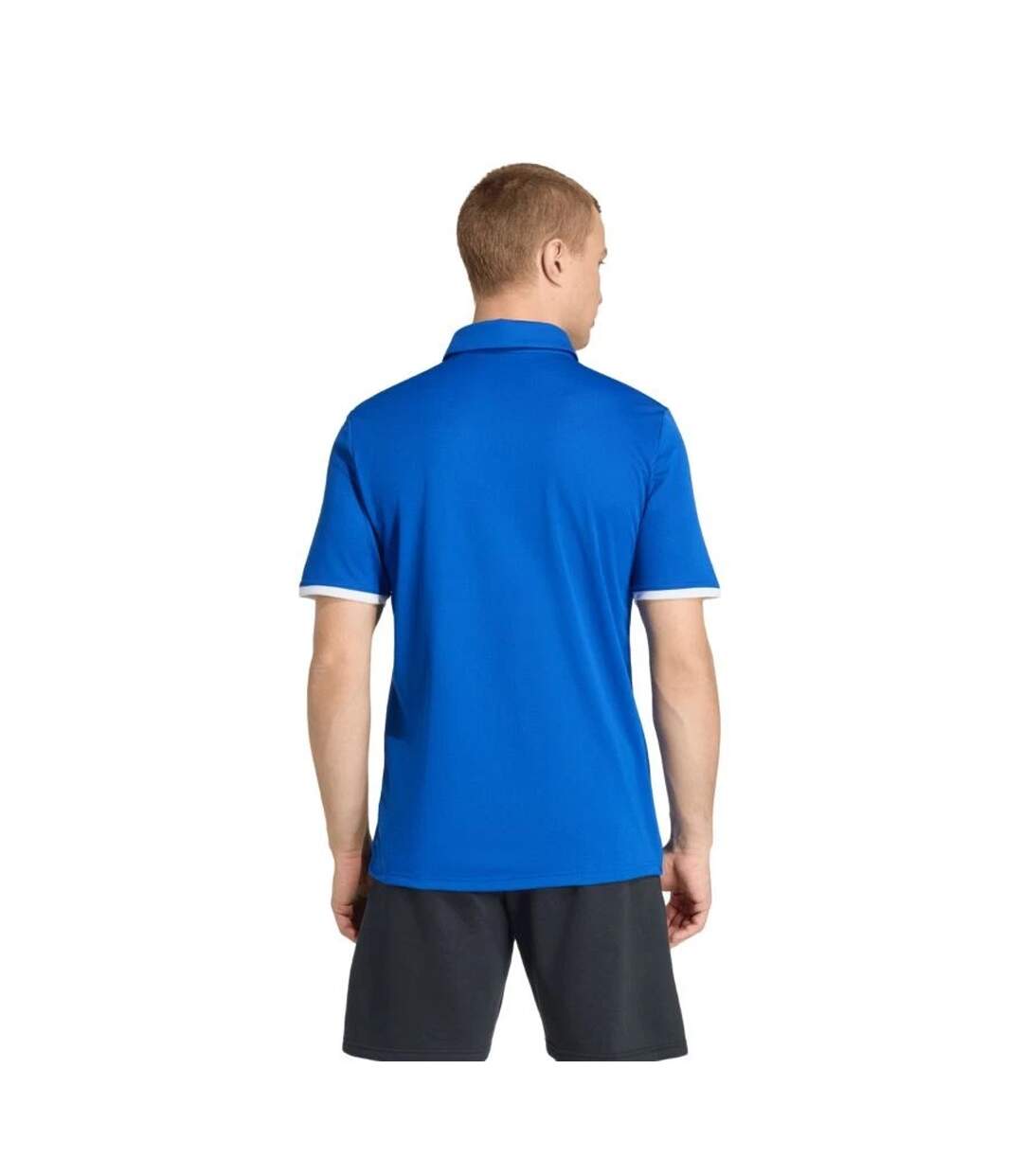 Polo Entrada Homme Bleu Adidas-3
