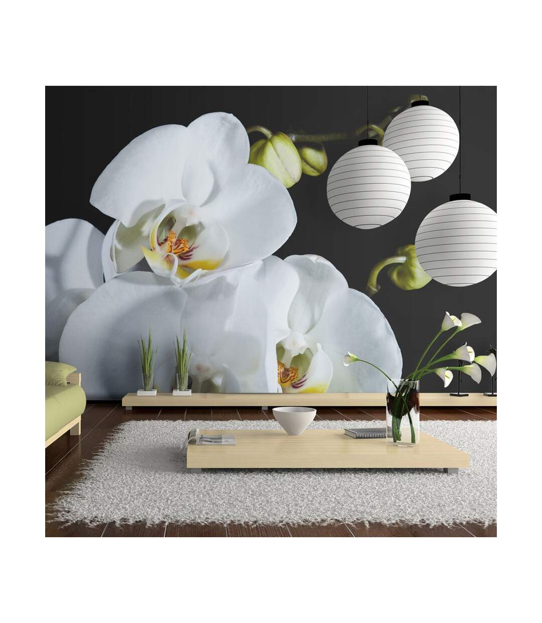 Papier Peint Phalaenopsis 270x450cm-1