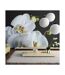 Papier Peint Phalaenopsis 270x450cm-1