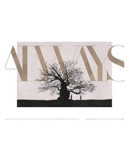 Harry Potter - Imprimé ALWAYS (Noir / Blanc cassé) (60 cm x 80 cm) - UTPM6034