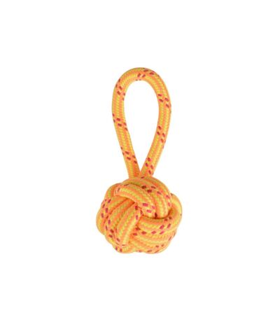 Paris Prix - Jouet Pour Chien corde Balle 1 Poignée 27cm Orange