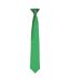 Premier Colors Mens Satin Clip Tie (Bottle) (One Size)