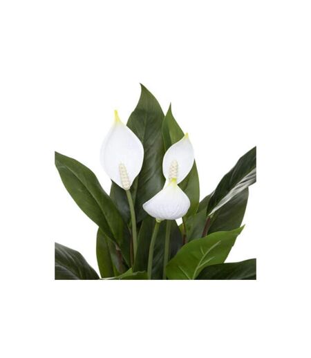 Plante Artificielle Lys de la Paix 54cm Vert & Blanc