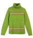 Pull col roulé UF368V-1