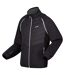Regatta Mens Steren II Softshell Hybrid Jacket (Ash/Black/Agave Green) - UTRG10503