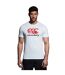 Mens Logo Cotton Blend T-shirt White Canterbury-4